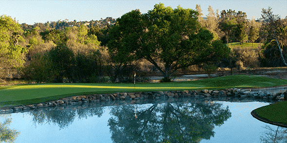 Vineyard-Golf-Course