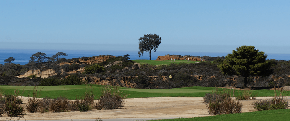 North Course Hole 17