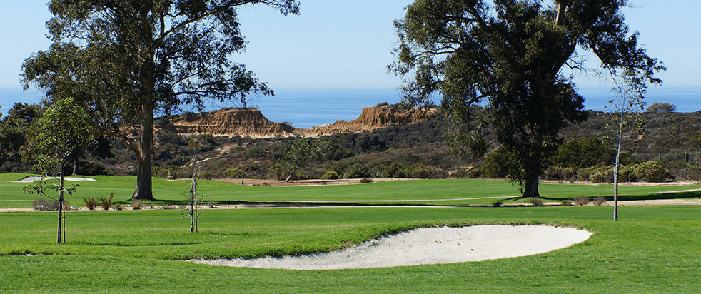 North Course Hole 6