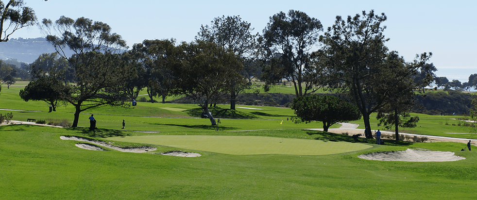 North Course Hole 8