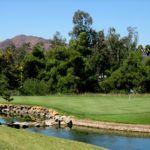 Vineyard at escondido