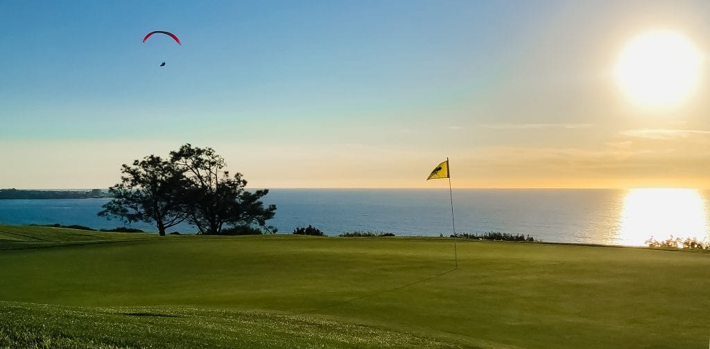 Torrey Pines at sunset