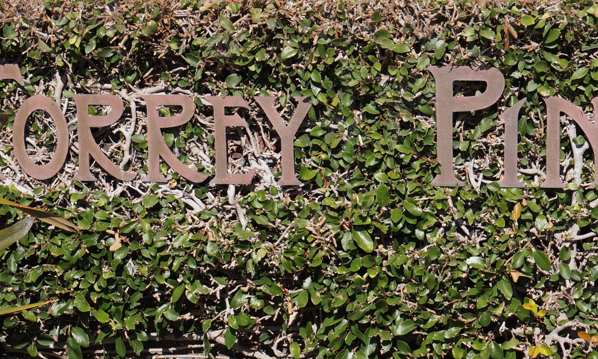 Sign of Torrey Pines Golf Course