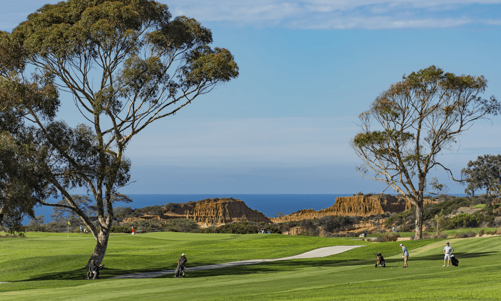 Torrey Pines