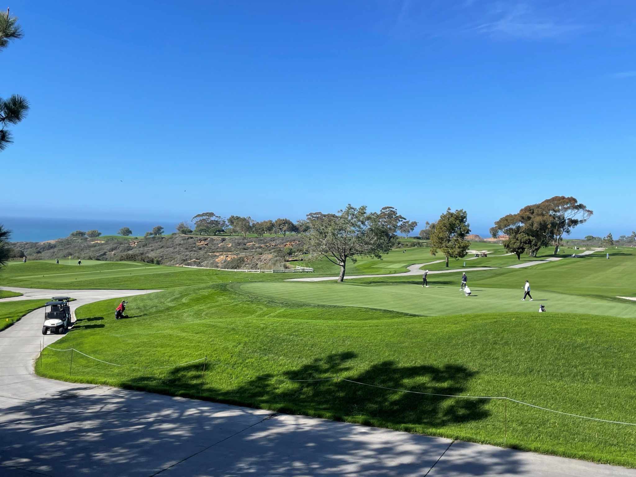 Torrey Pines