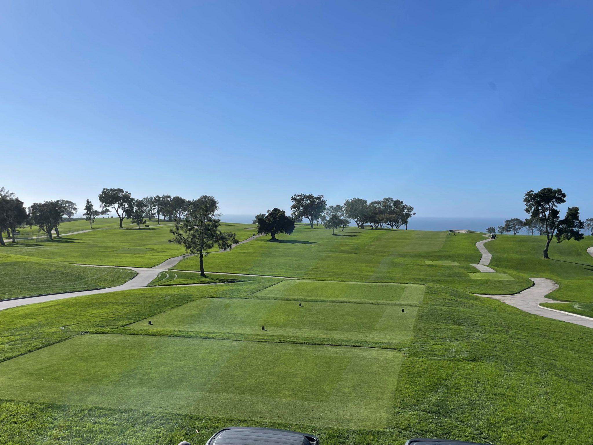 Torrey Pines