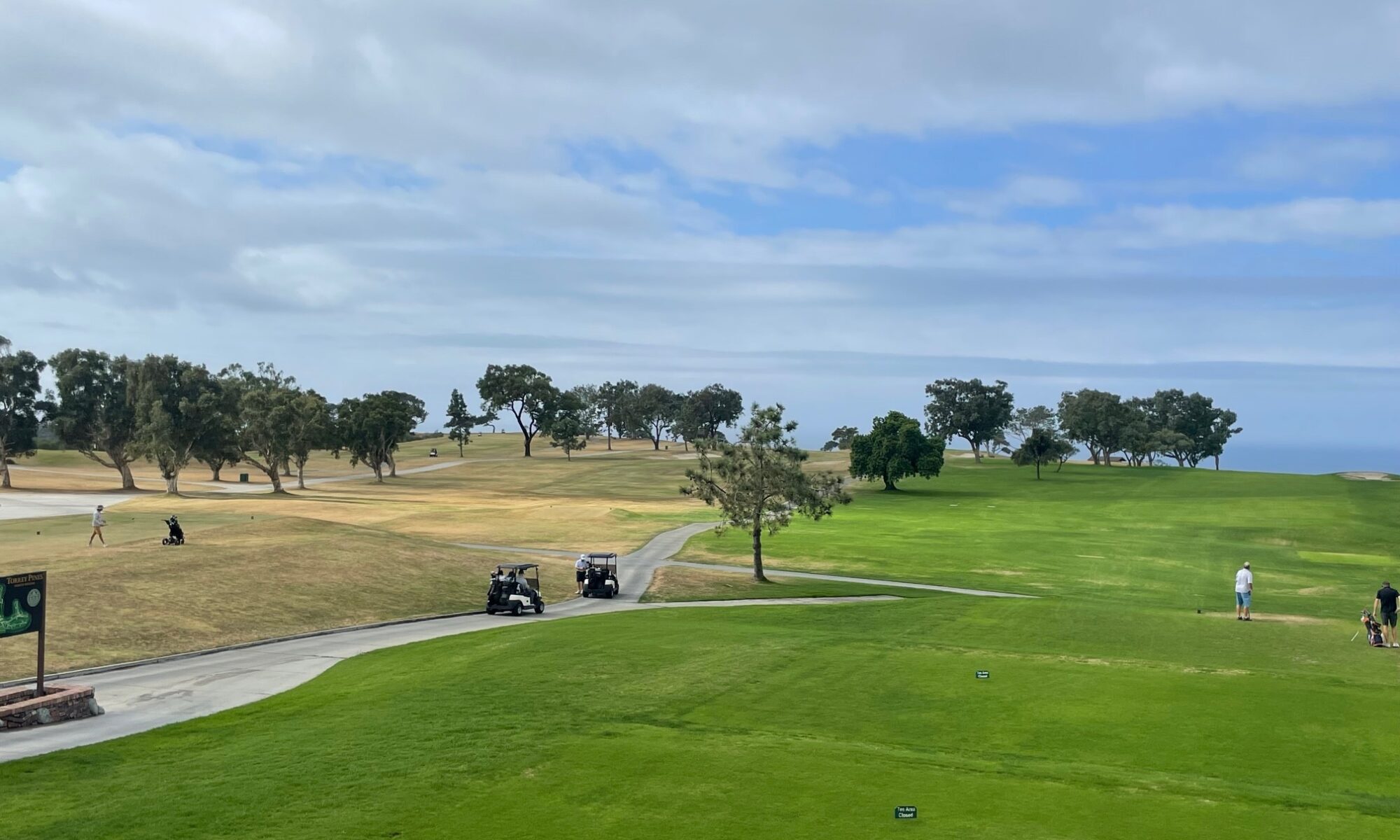 preparing torrey pines for 2024 farmers insurance open