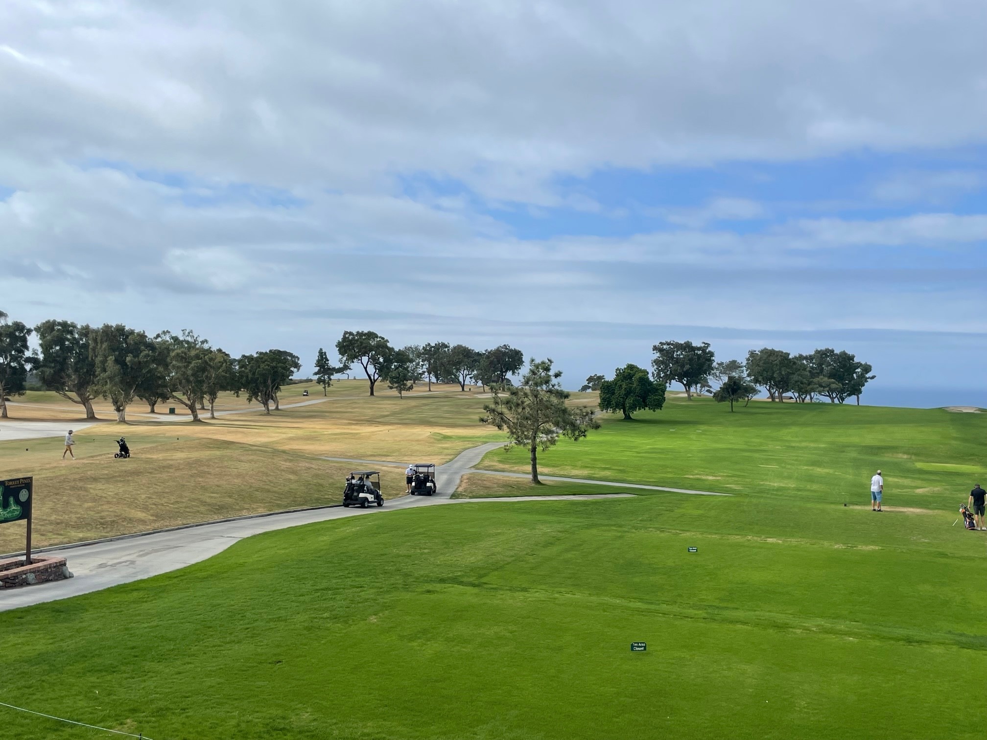 preparing torrey pines for 2024 farmers insurance open