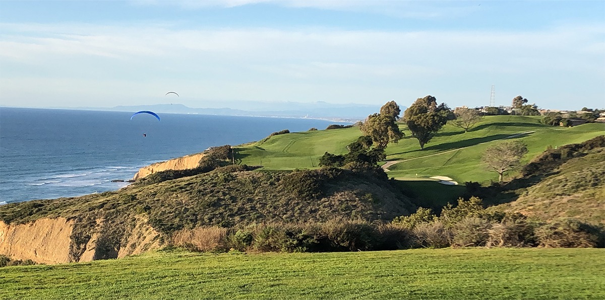 5 unusual features of Torrey Pines